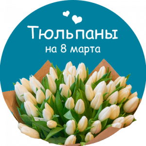 Купить тюльпаны в Лаишево